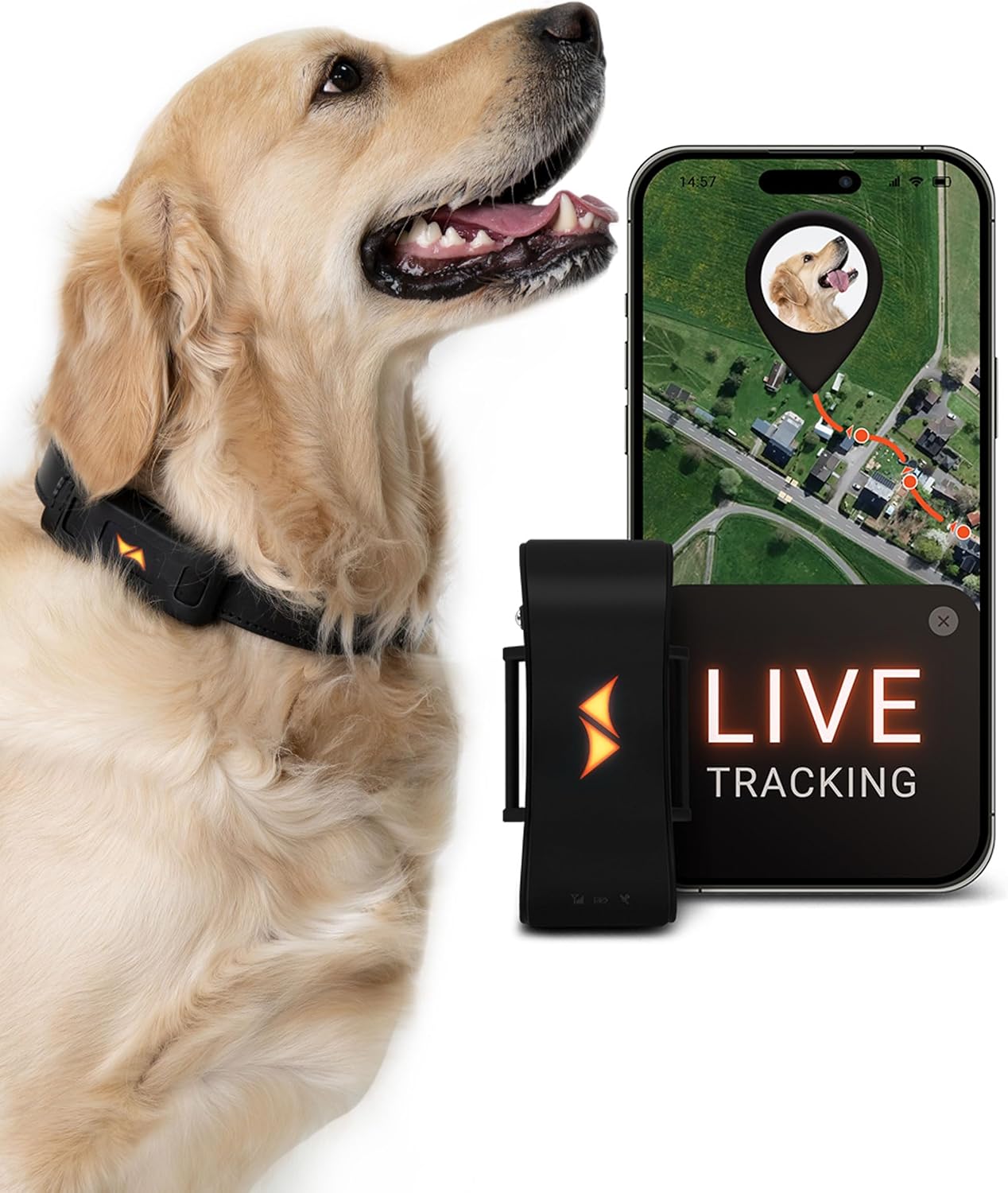 Collar GPS inteligente para perros con localización 24/7